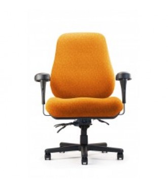 Neutral Posture Big & Tall Multi-Tilt Task Chair